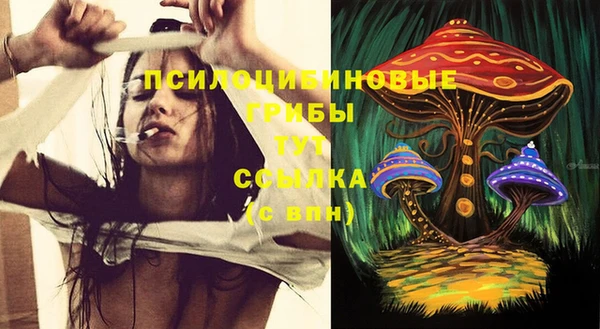 МДПВ Медвежьегорск