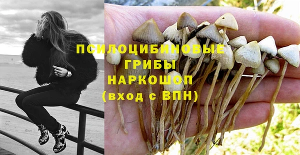 трава Аша