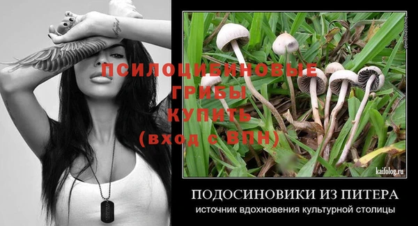 трава Аша