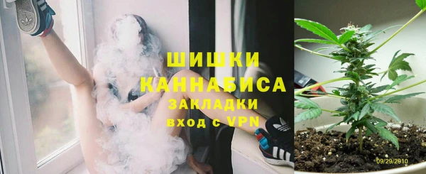 трава Аша