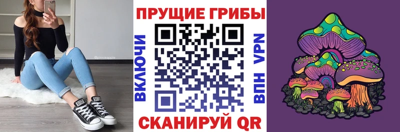 Галлюциногенные грибы Magic Shrooms как найти даркнет как зайти Зея