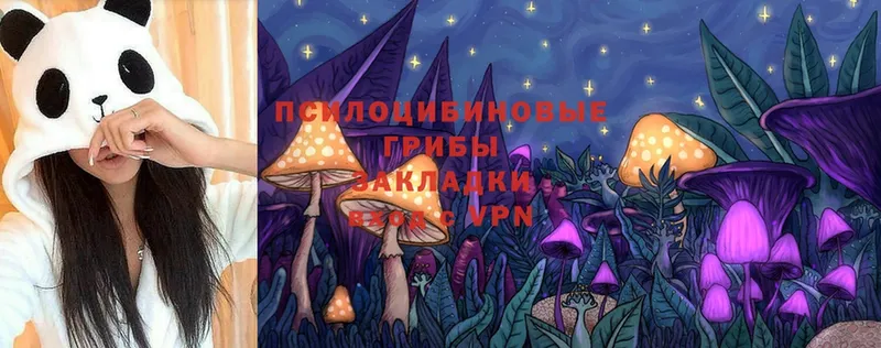 Галлюциногенные грибы MAGIC MUSHROOMS  цена   Зея 